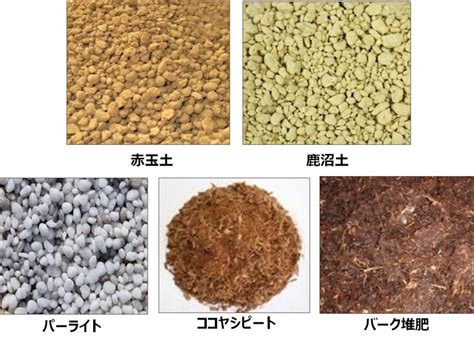 腐葉土|腐葉土とは？腐葉土の効果や役割・種類について解。